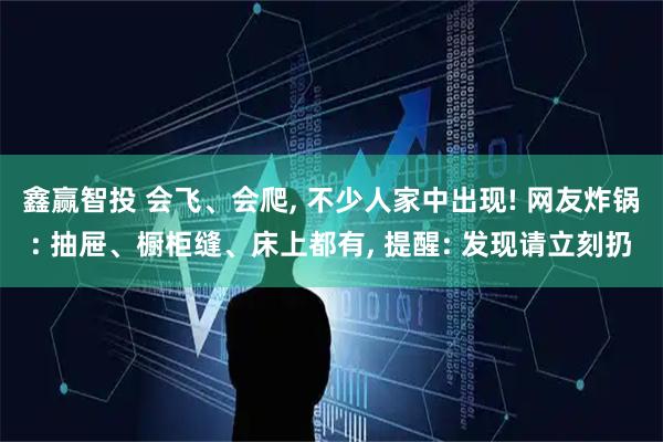 鑫赢智投 会飞、会爬, 不少人家中出现! 网友炸锅: 抽屉、橱柜缝、床上都有, 提醒: 发现请立刻扔