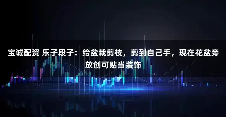 宝诚配资 乐子段子：给盆栽剪枝，剪到自己手，现在花盆旁放创可贴当装饰