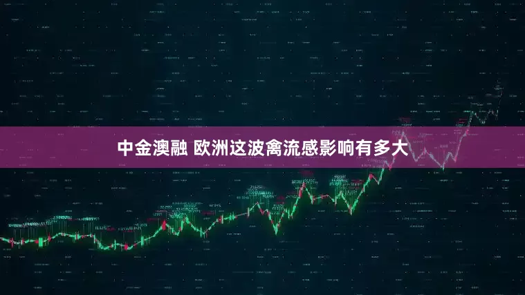 中金澳融 欧洲这波禽流感影响有多大